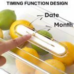 Kitchen Fridge Storage  Container Bins High quality Transparent Plastic Storage Organizer Boxes Vegetable fruit food freezing preservation box
