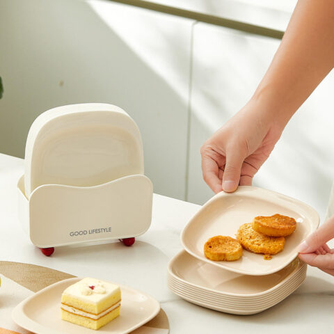 Table scraping dish plastic Fruit plates Party Cake Dessert plate set Kitchen Food-Grade PP Material Plastic Snack Plate Set with Storage Case