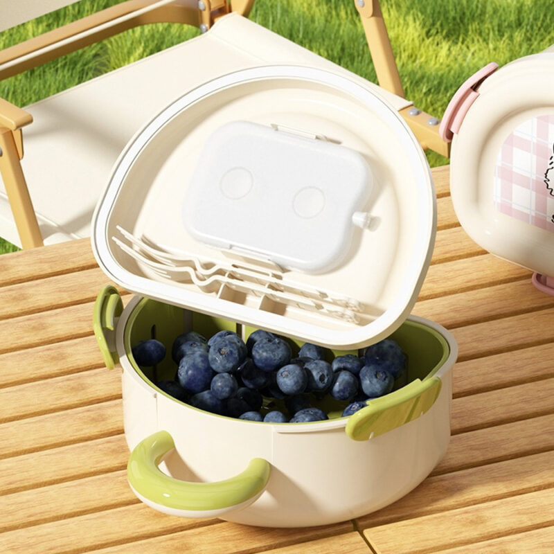 Portable breakfast storage Bento Box Food grade Double Layer fruit Draining Organizer Outdoor  fruit storage container